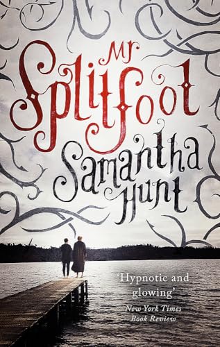 9781472151612: Mr Splitfoot