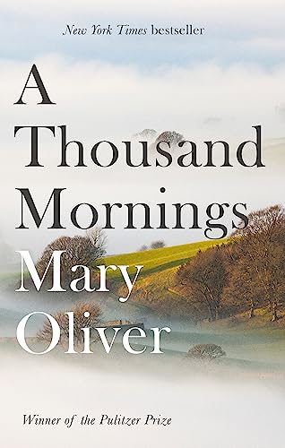 9781472153760: A Thousand Mornings: Mary Oliver