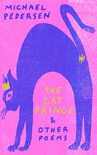Stock image for The Cat Prince: & Other Poems for sale by WorldofBooks