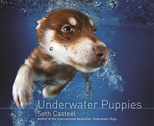 Beispielbild fr Underwater Puppies zum Verkauf von WorldofBooks