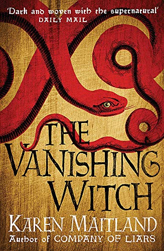 Stock image for The Vanishing Witch: A dark historical tale of witchcraft and rebellion for sale by WorldofBooks