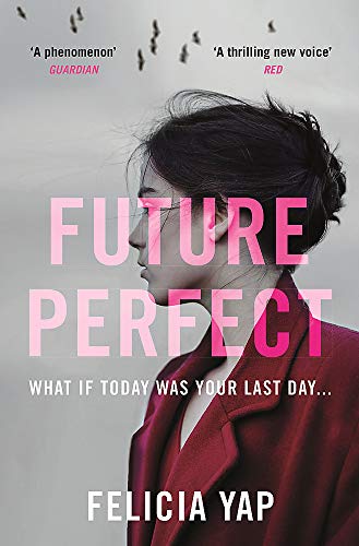 Beispielbild fr Future Perfect: The Most Exciting High-Concept Novel of the Year zum Verkauf von WorldofBooks