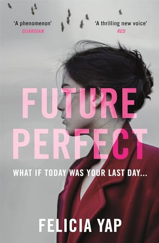 Stock image for Future Perfect: The Most Exciting High-Concept Novel of the Year for sale by WorldofBooks