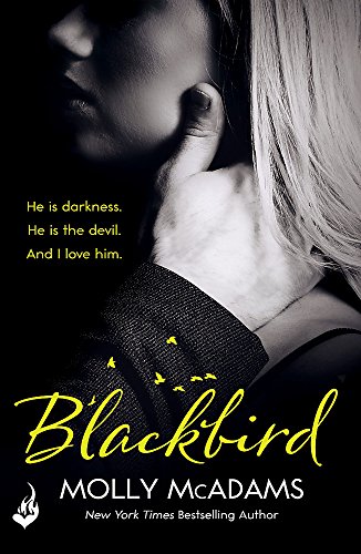 Beispielbild fr Blackbird: A story of true love against the odds (Redemption Series) zum Verkauf von WorldofBooks