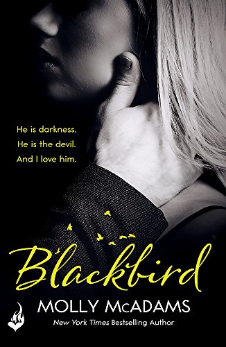 9781472247513: Blackbird: A story of true love against the odds (Redemption Series)