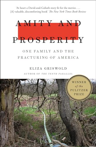 Beispielbild fr Amity and Prosperity: One Family and the Fracturing of America - Winner of the Pulitzer Prize for Non-Fiction 2019 zum Verkauf von AwesomeBooks