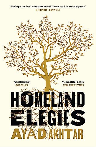 Stock image for Homeland Elegies: A Barack Obama Favourite Book for sale by Big River Books
