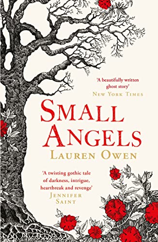 Stock image for Small Angels: 'A twisting gothic tale of darkness, intrigue, heartbreak and revenge' Jennifer Saint for sale by WorldofBooks