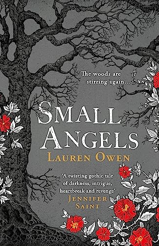 Stock image for Small Angels: 'A twisting gothic tale of darkness, intrigue, heartbreak and revenge' Jennifer Saint for sale by WorldofBooks