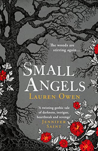 Stock image for Small Angels: 'A twisting gothic tale of darkness, intrigue, heartbreak and revenge' Jennifer Saint for sale by WorldofBooks