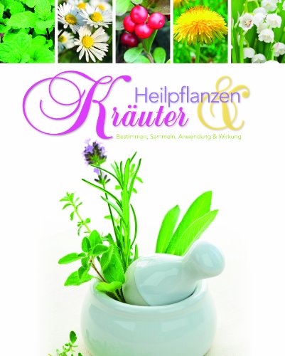 Beispielbild fr Heilpflanzen & Kruter zum Verkauf von medimops