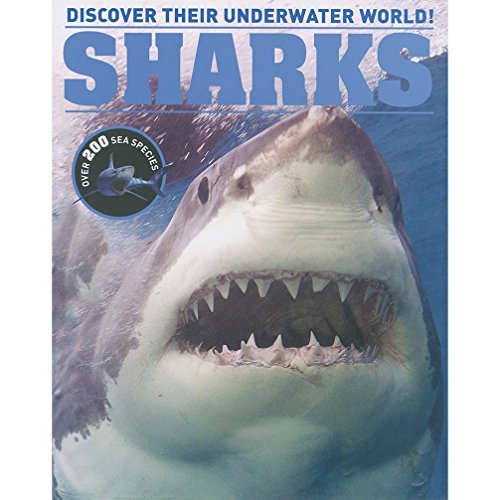 Imagen de archivo de Sharks and Predators: Discover Their Underwater World a la venta por WorldofBooks