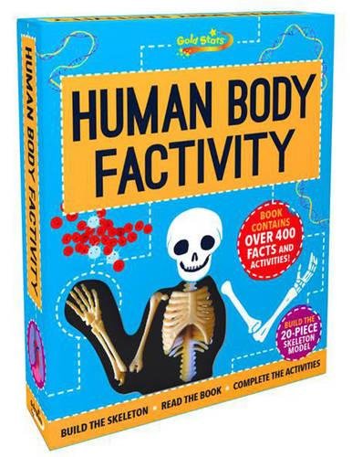 Beispielbild fr Gold Stars Factivity Human Body Factivity: Build the Skeleton, Read the Book, Complete the Activities zum Verkauf von WorldofBooks