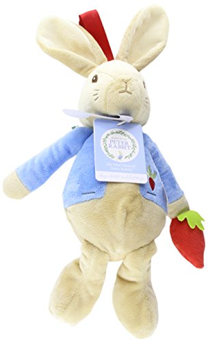 9781472614810: Peter Rabbit Musical Soft Toy