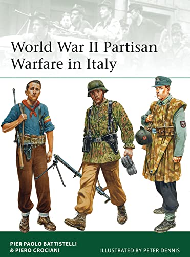 Stock image for World War II Partisan Warfare in Italy (Elite) for sale by HPB-Diamond