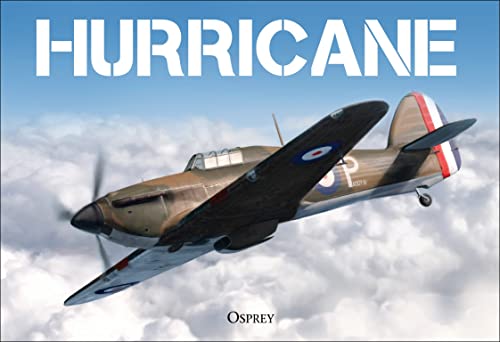 Stock image for Hurricane for sale by Better World Books