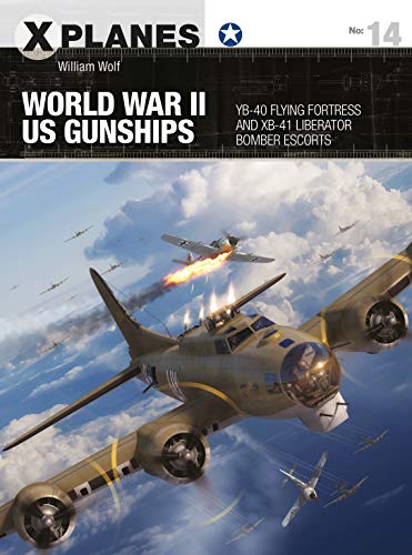 Stock image for World War II US Gunships for sale by Blackwell's