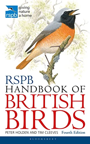 Stock image for RSPB Handbook of British Birds for sale by HPB-Emerald
