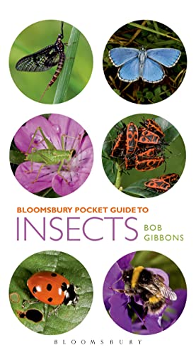 Imagen de archivo de Pocket Guide to Insects a la venta por Blackwell's