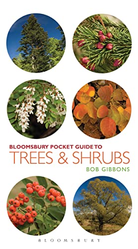 Imagen de archivo de Pocket Guide to Trees and Shrubs (Pocket Guides) a la venta por WorldofBooks