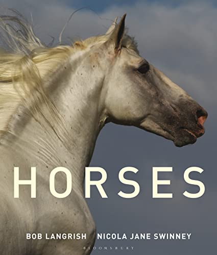 Beispielbild fr Horses zum Verkauf von AwesomeBooks
