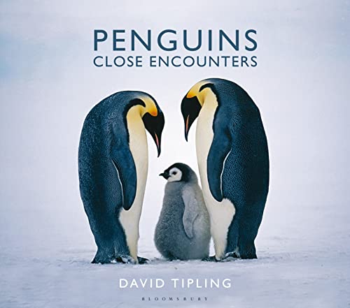 Beispielbild fr Penguins: Close Encounters zum Verkauf von WorldofBooks
