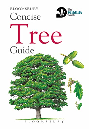 Stock image for Concise Tree Guide (Concise Guides) for sale by WorldofBooks