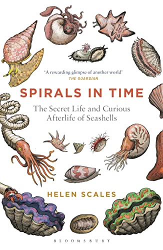 Stock image for Spirals in Time for sale by Blackwell's