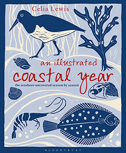 Illustrated Coastal Year: The Seashore Uncovered Season By Season