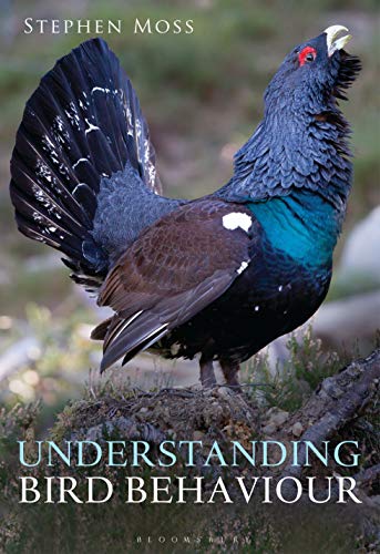 Beispielbild fr Understanding Bird Behaviour zum Verkauf von HPB-Red