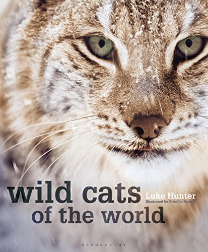 Stock image for Wild Cats of the World - w/ Dust Jacket! for sale by THIS OLD BOOK