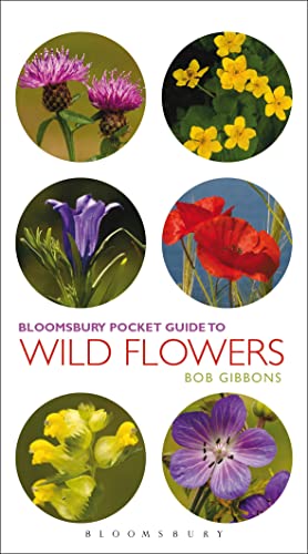 Stock image for Pocket Guide To Wild Flowers (Pocket Guides) for sale by HPB-Emerald