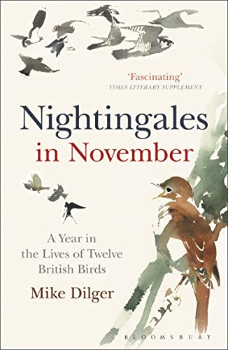 Beispielbild fr Nightingales in November: A Year in the Lives of Twelve British Birds zum Verkauf von WorldofBooks