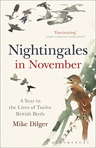 Imagen de archivo de Nightingales in November: A Year in the Lives of Twelve British Birds a la venta por WorldofBooks