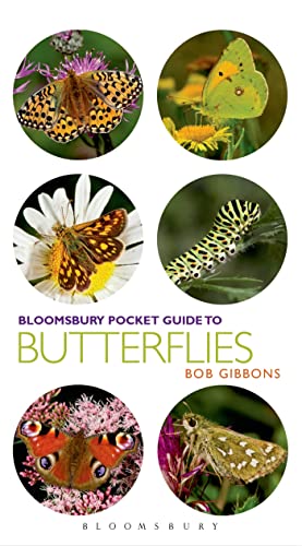 Beispielbild fr Pocket Guide to Butterflies (Pocket Guides) zum Verkauf von WorldofBooks
