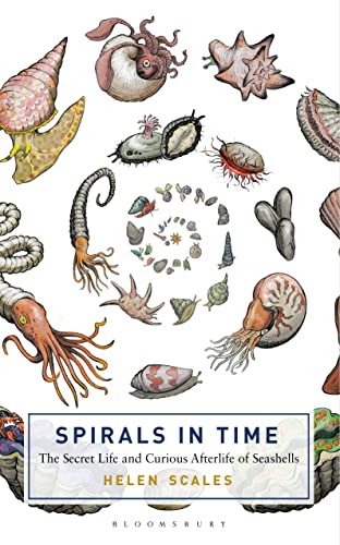 Stock image for Spirals in Time: The Secret Life and Curious Afterlife of Seashells for sale by ThriftBooks-Atlanta