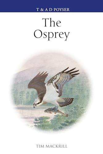 Beispielbild fr The Osprey (Poyser Monographs) zum Verkauf von Monster Bookshop