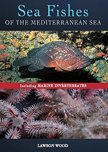 9781472921789: Sea Fishes of the Mediterranean: Including Marine Invertebrates