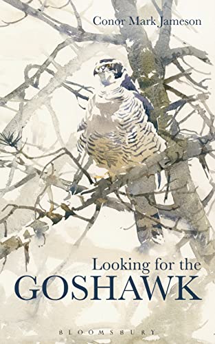9781472922595: Looking for the Goshawk