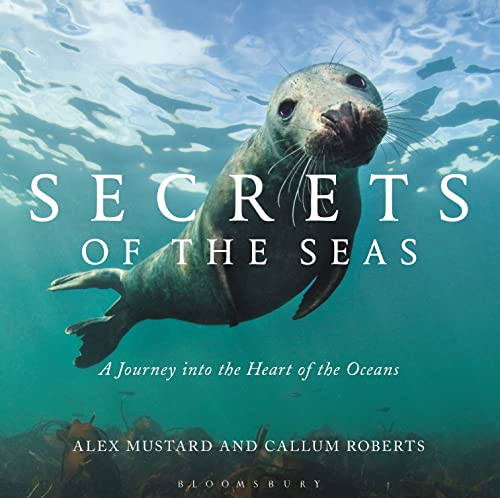 Stock image for Secrets of the Seas: A journey into the heart of the oceans for sale by 369 Bookstore