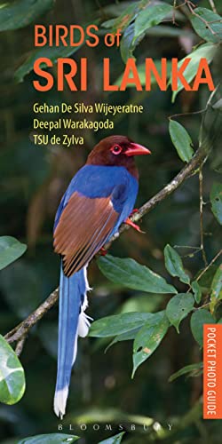 Stock image for Birds of Sri Lanka (Pocket Photo Guides) for sale by GF Books, Inc.