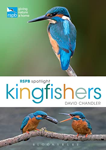 Stock image for RSPB Spotlight Kingfishers for sale by WorldofBooks