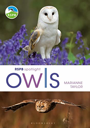 Beispielbild fr RSPB Spotlight Owls zum Verkauf von WorldofBooks