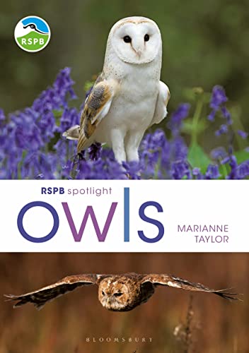 Imagen de archivo de RSPB Spotlight Owls a la venta por WorldofBooks
