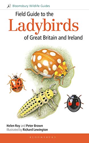 Beispielbild fr Field Guide to the Ladybirds of Great Britain and Ireland zum Verkauf von Blackwell's