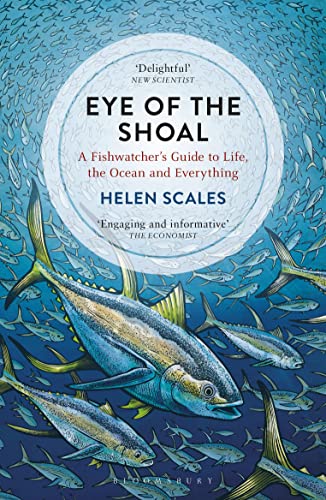 Stock image for Eye of the Shoal: A Fishwatcher's Guide to Life, the Ocean and Everything for sale by SecondSale