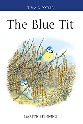 9781472937384: The Blue Tit