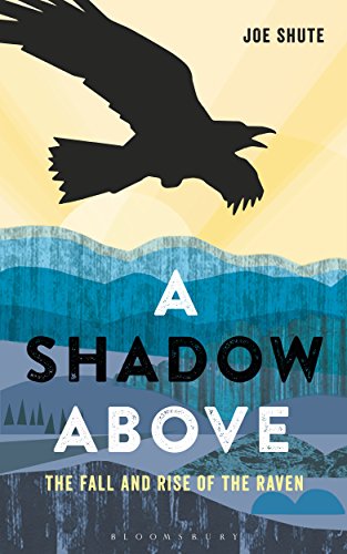 Beispielbild fr A Shadow Above: The Fall and Rise of the Raven zum Verkauf von WorldofBooks