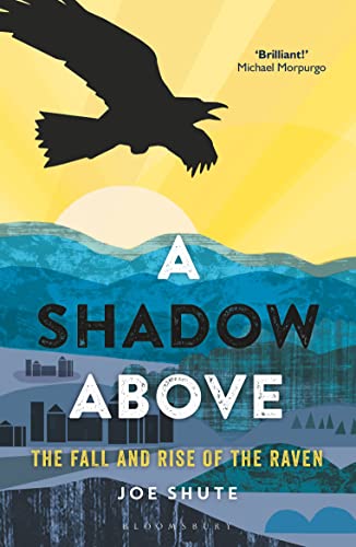 Imagen de archivo de A Shadow Above: The Fall and Rise of the Raven a la venta por WorldofBooks