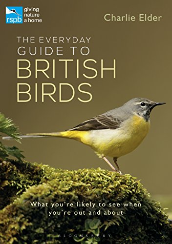 Beispielbild fr The Everyday Guide to British Birds: Identify our common species and learn more about their lives (rspb) zum Verkauf von WorldofBooks